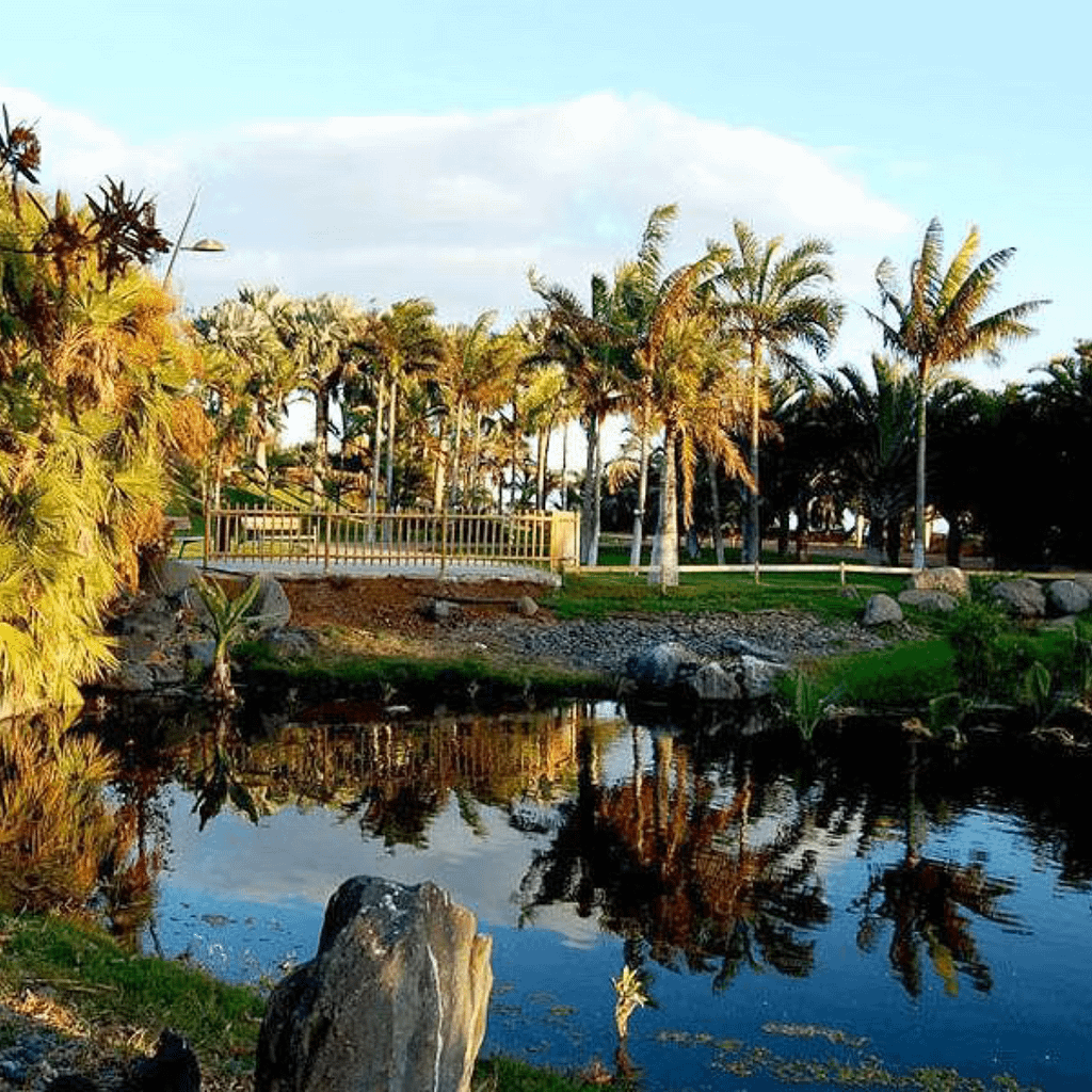 Palmetum van Santa Cruz